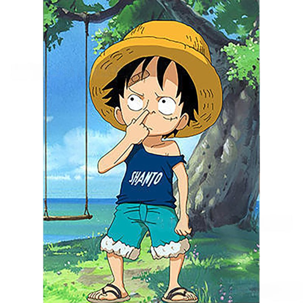 One Piece Diamond Painting DRA562